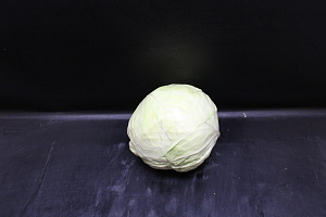 Witte Kool 7 st. JONG