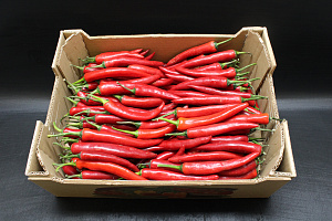 Peper Rood Doos