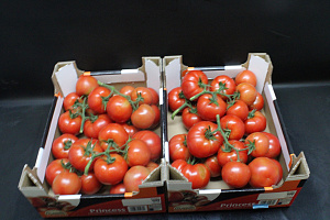 Tomaten Tros Grof