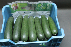 Courgettes 14 Fine Fleur