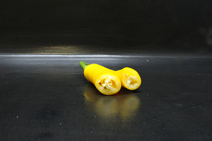 Peper Geel