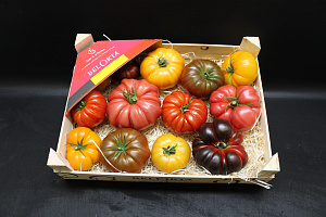 Tomaten mix Antan