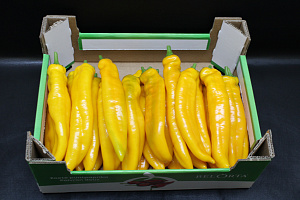 Paprika Punt Geel Supers