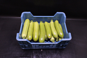 Courgettes Wit