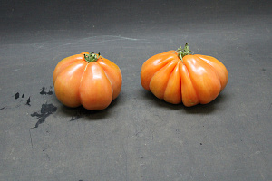 Tomaten Boeven