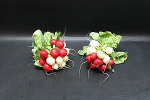 Radijs mix (rood/wit)