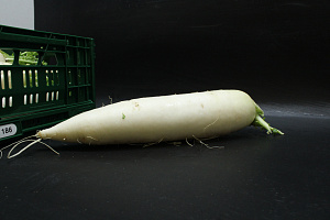 Rettich Exclusief