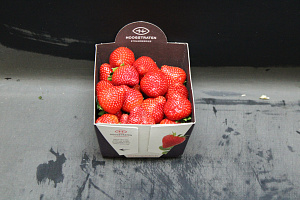 Aardbeien Sonsation