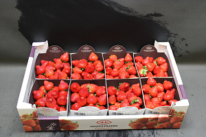 Aardbeien Sonsation