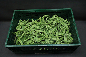 Snijbonen Krom