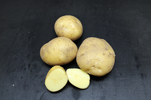 Aardappel Eerstellingen +50