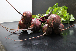 Bieten Bos Rood 10 st.