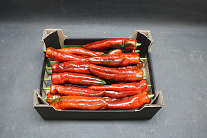 Paprika Punt Rood