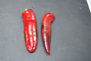 Paprika Punt Rood MIDDEL