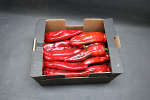 Paprika Punt Rood MIDDEL