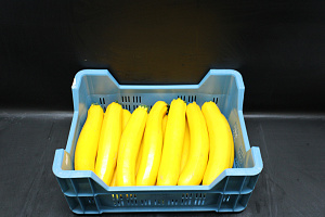 Courgettes Geel 1-2