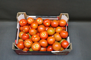 Tomaten B