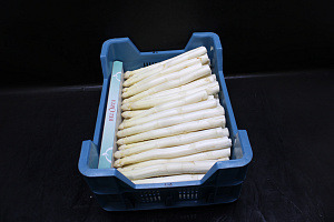 Asperge AA / Exclusief / Super