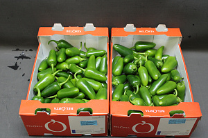 Peper Groen Jalapeno