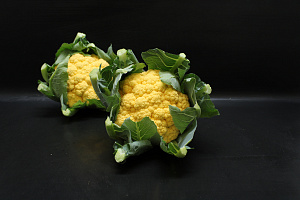 Bloemkool Oranje