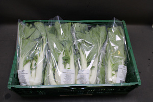 Paksoi Verpakt / Barcode 8 st