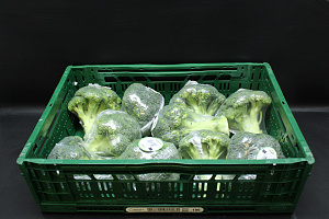 Broccoli 10 x 500 gr.