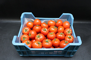 Tomaten B Tomabel