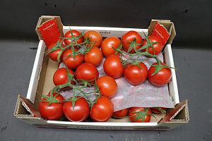 Tomaten Tros Tomabel DOOS