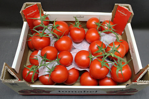 Tomaten Tros Tomabel DOOS