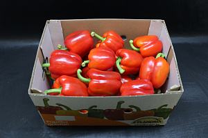 Paprika Rood Supers 95