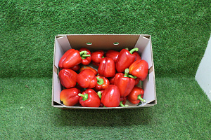 Paprika Rood Supers 95