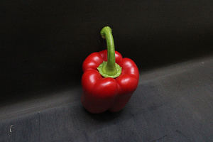 Paprika Rood