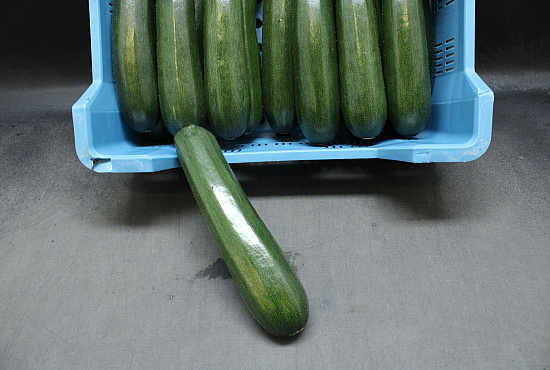 Courgettes Supers