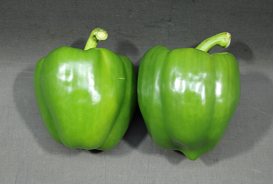 Paprika Groen 95 Supers