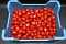 Tomaat Snoep Rood