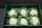 Bloemkool 6 st. Supers