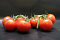 Tomaten Tros
