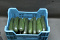 Courgettes Supers 16 st.