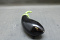 Aubergines 225 Klasse II