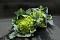 Bloemkool Romanesco 6 st.