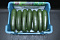 Courgettes 14 Fine Fleur