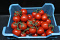 Tomaten Tros Belgie