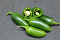 Peper Groen Jalapeno