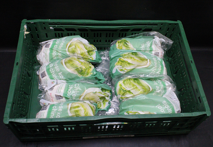 Chinese Kool 8 st. verpakt