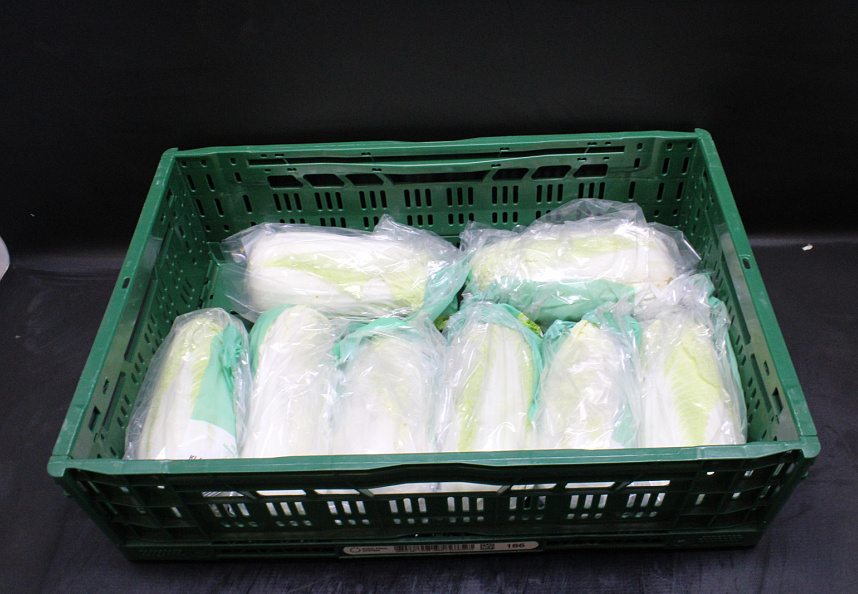 Chinese Kool 8 st. verpakt