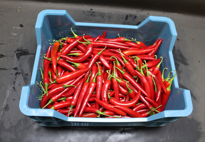 Peper Rood Supers