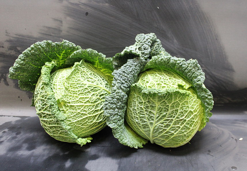 Groene Kool 6st. Holland
