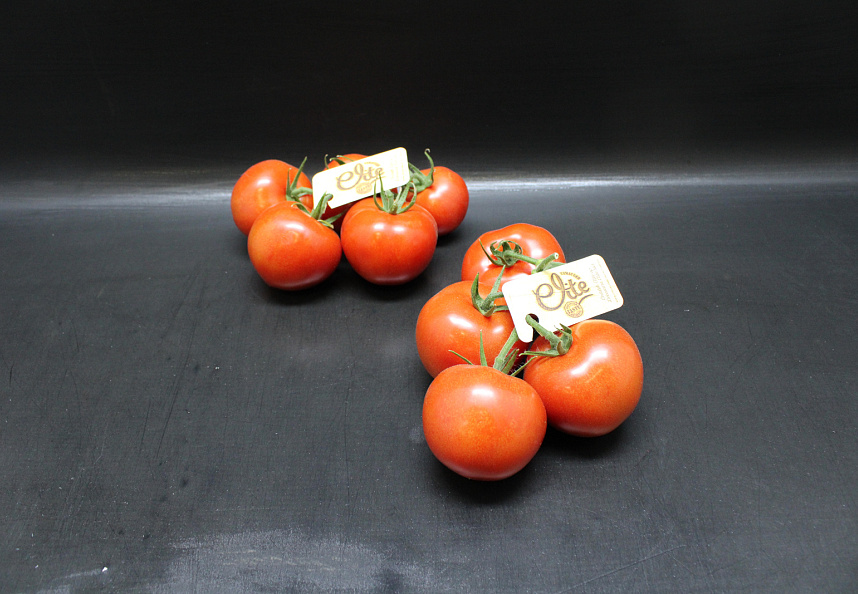 Tomaten Tros Elite Fust