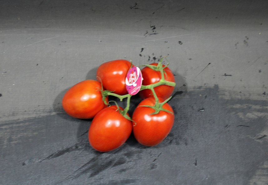 Tomaten Tros Pomo RUBY