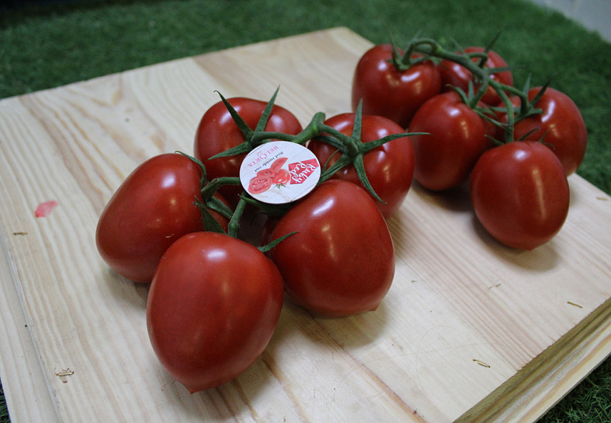 Tomaten Tros Pomo RUBY